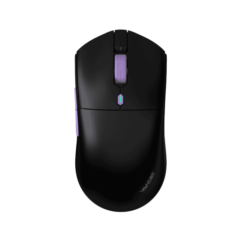 Vancer Gemini Castor 产品照